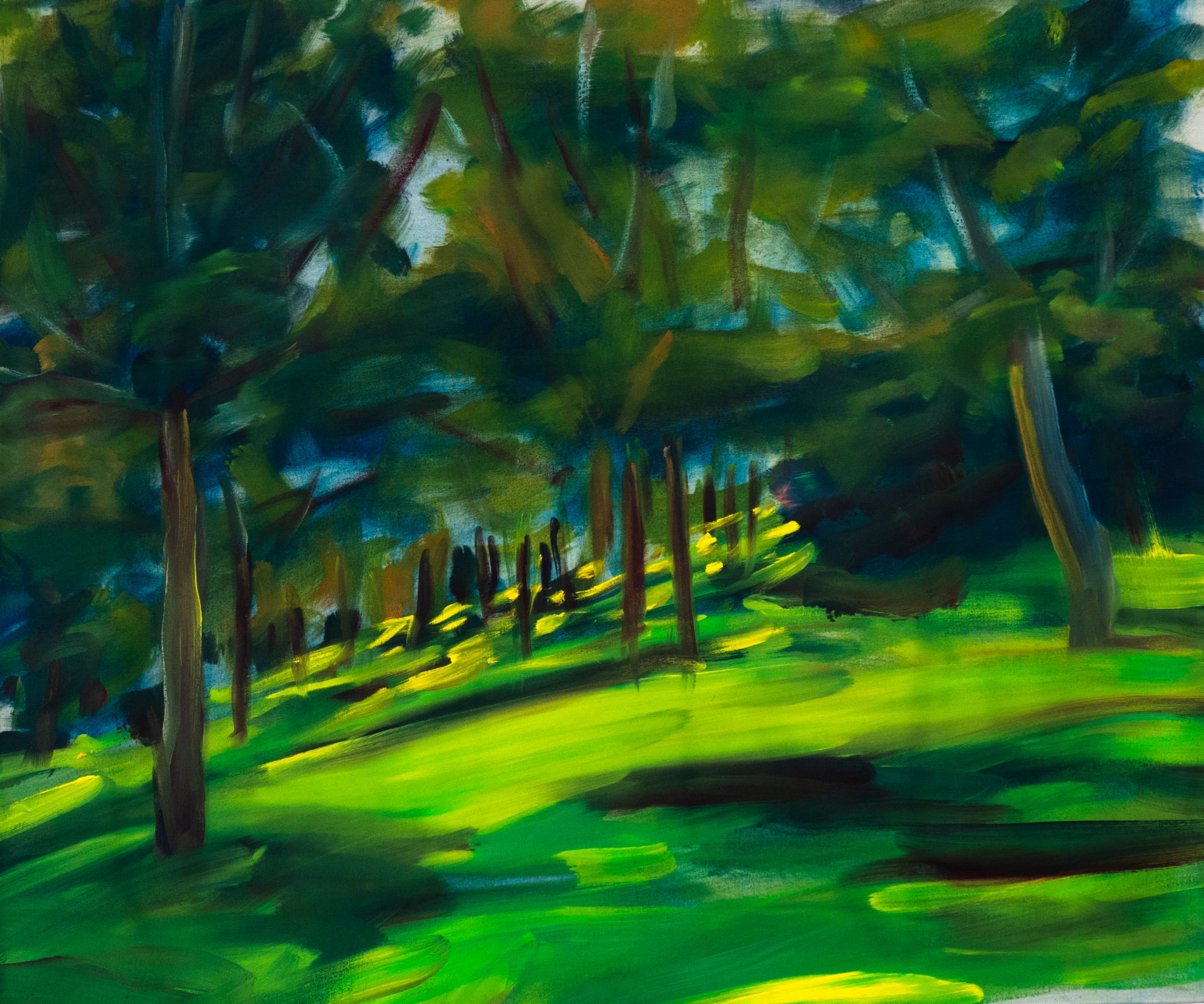 Paysage